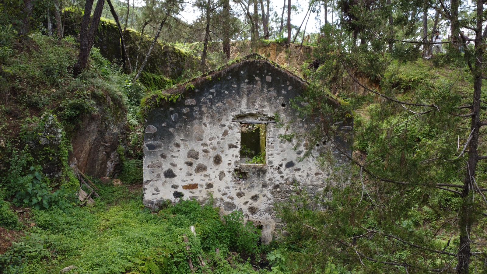 WhatsApp Image 2025-07-08 at 4.29.58 PM(1)