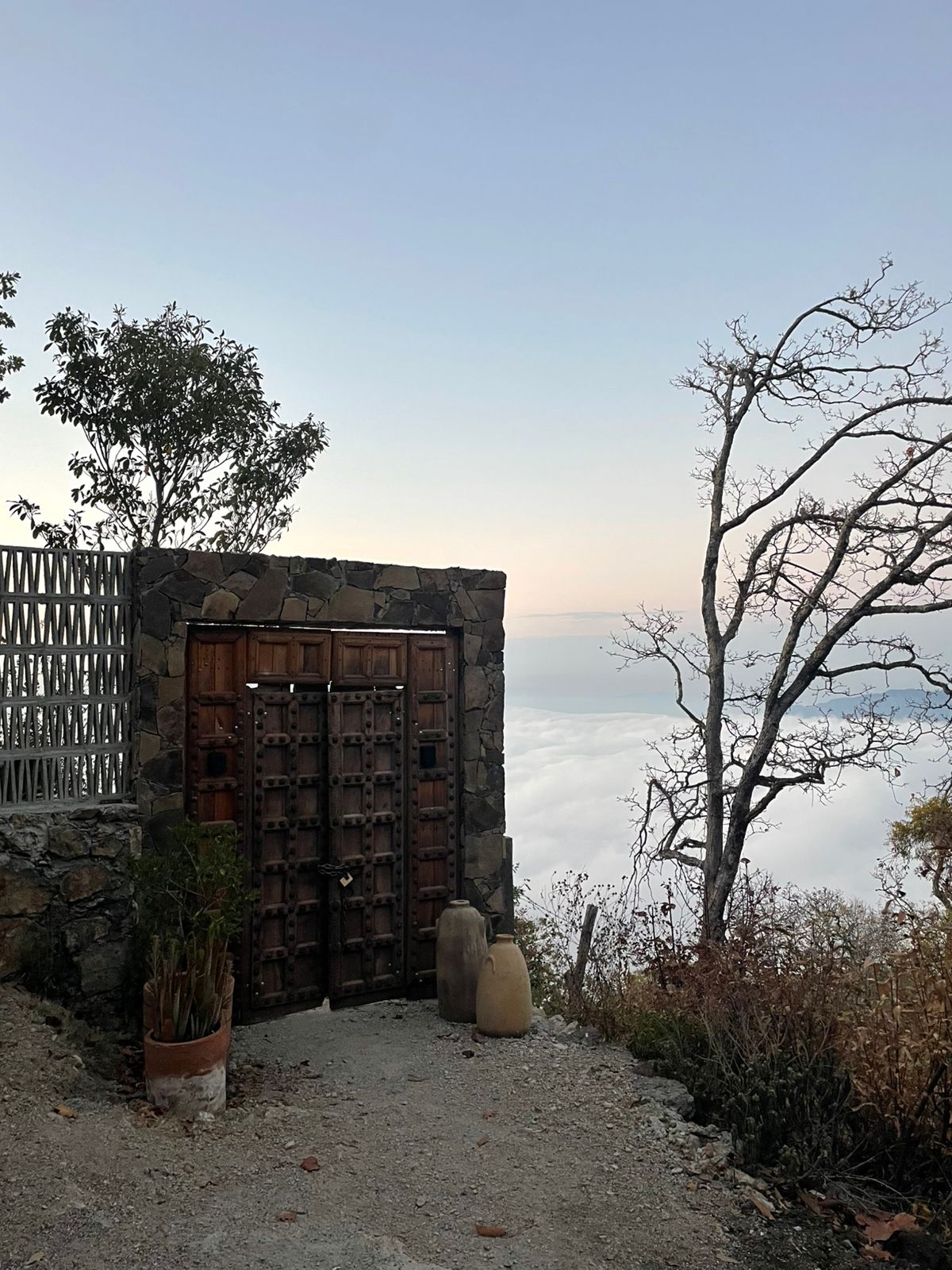 WhatsApp Image 2025-07-08 at 4.29.58 PM(5)