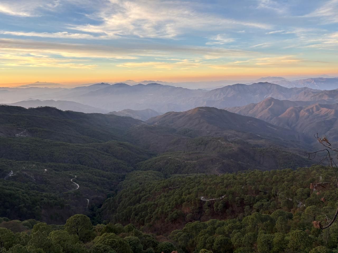 WhatsApp Image 2025-07-08 at 4.30.34 PM