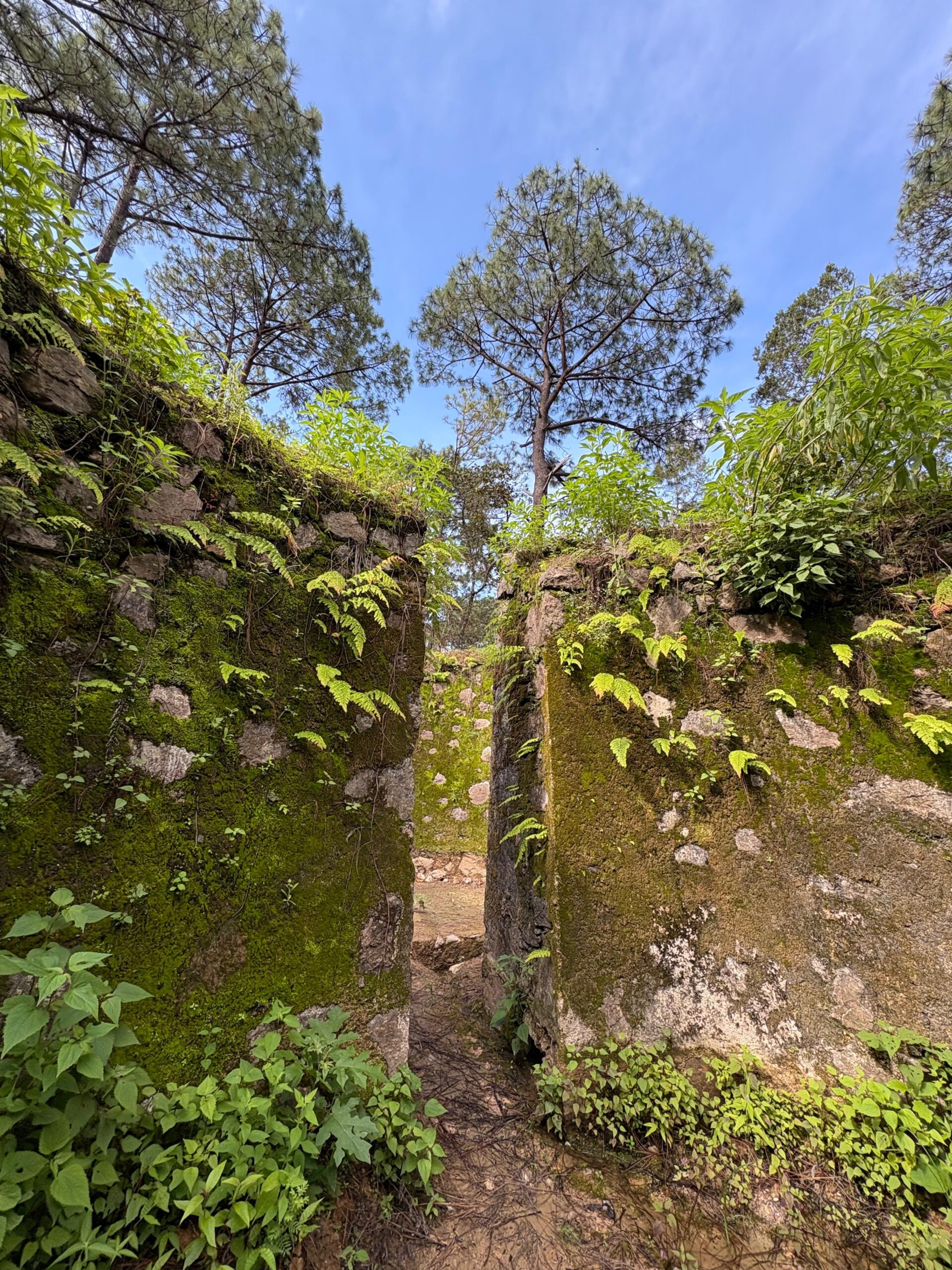 WhatsApp Image 2025-08-07 at 2.56.34 PM-2