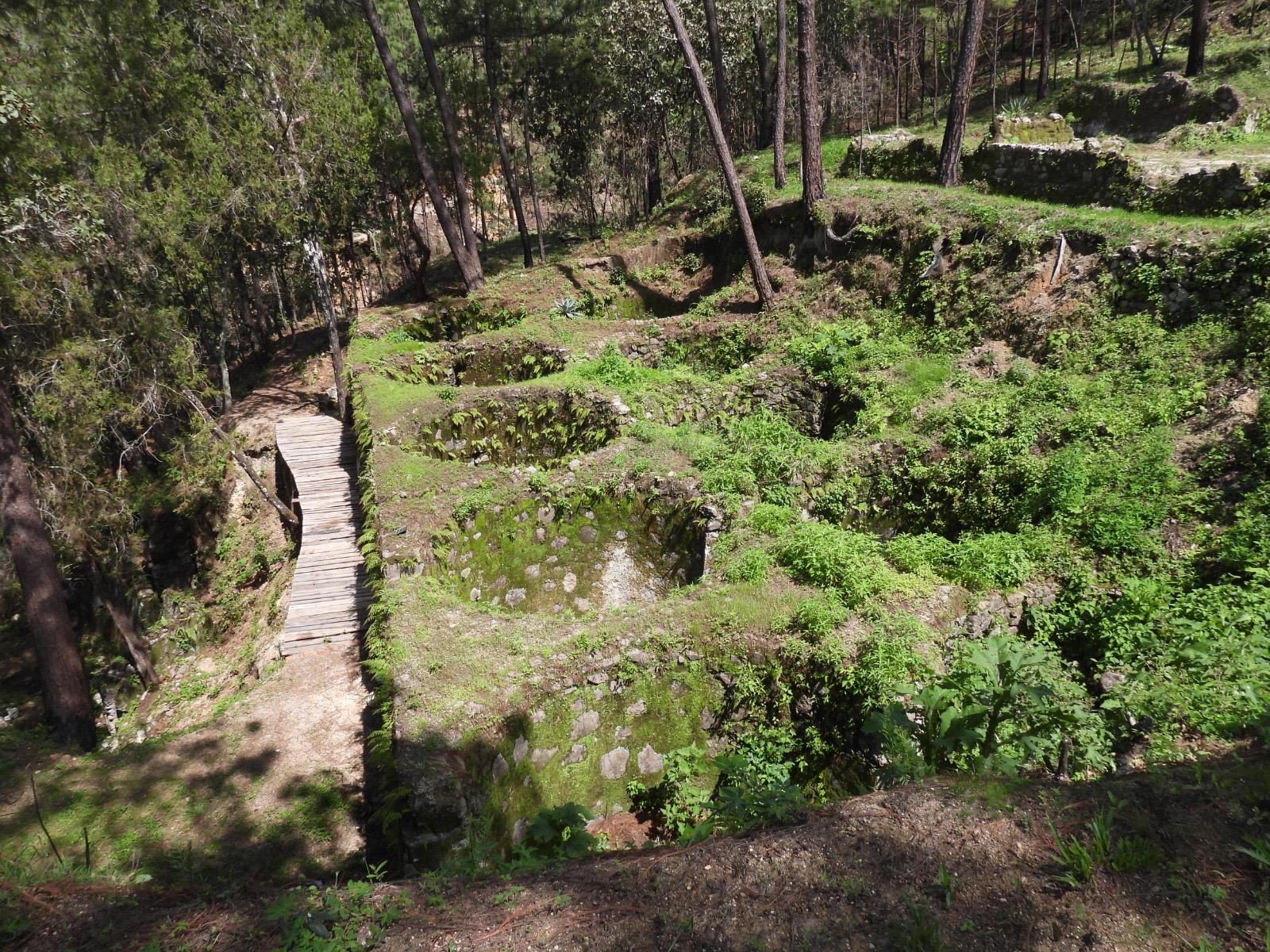 WhatsApp Image 2025-08-07 at 2.56.34 PM-4