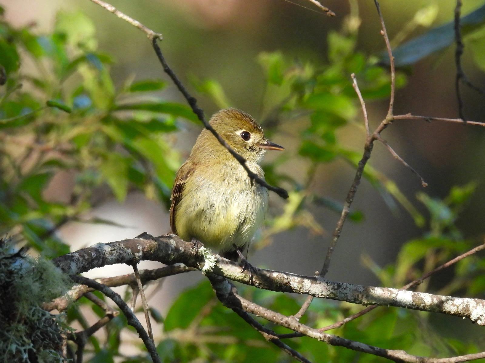 WhatsApp Image 2025-08-07 at 2.56.34 PM-5